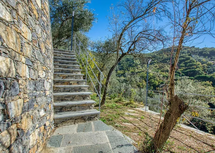 Gorgeous In With Wifi レッコ